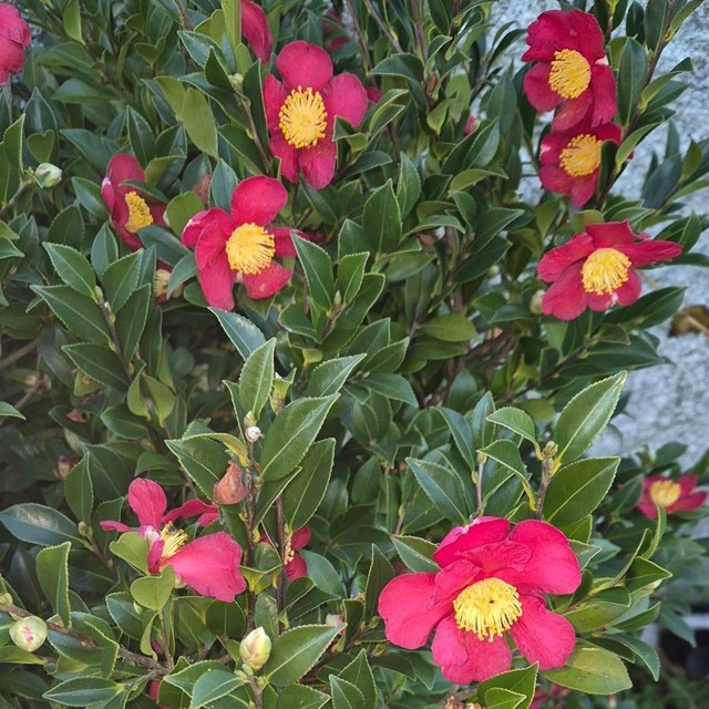 Connect with nature in our garden