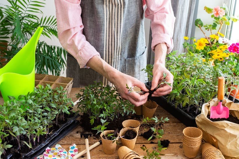 Escuela de cultivos ecológicos en Vilanova