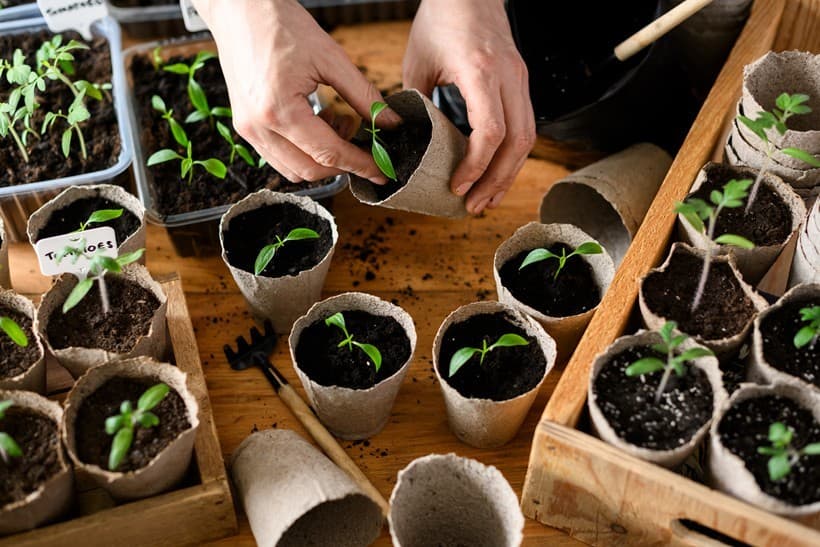 Escuela de cultivos ecológicos en Vilanova