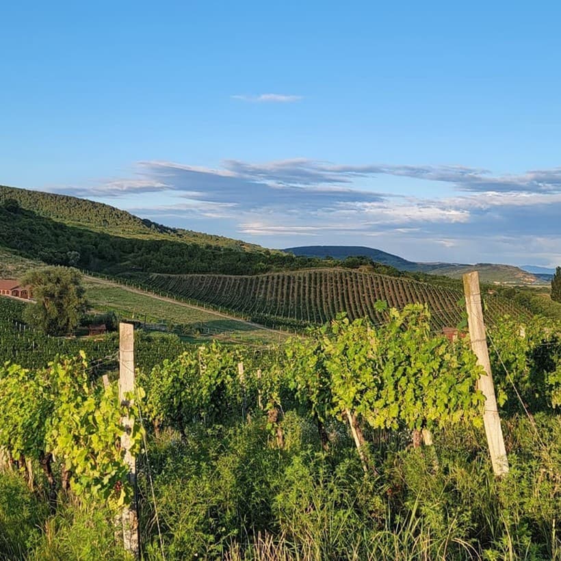 Turismo en las Rías Baixas